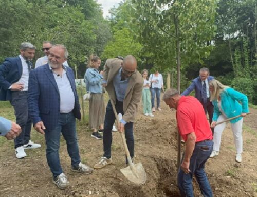 Un nuovo bosco per le api a Dueville: piantumate essenze nettarifere per la biodiversità