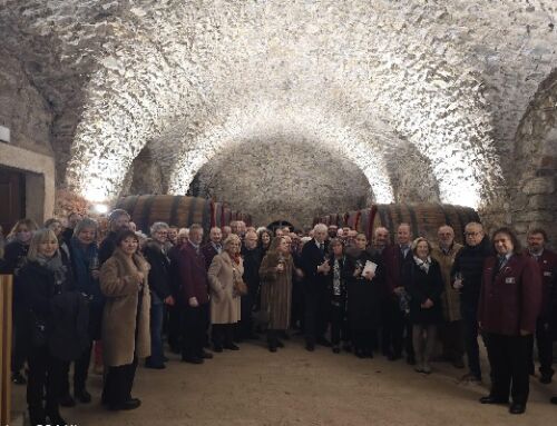 Cantincantina, musica e solidarietà a servizio del territorio